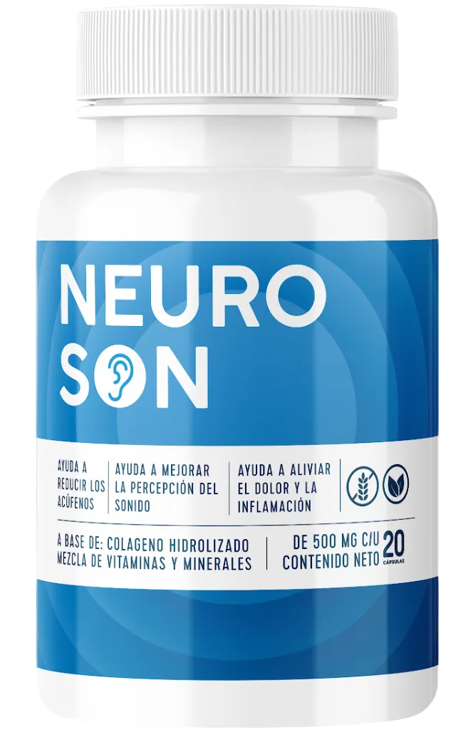 Neuroson